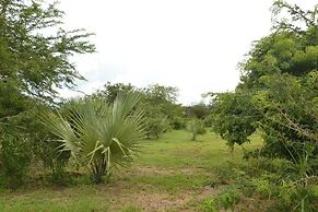Twiga Tales Safari