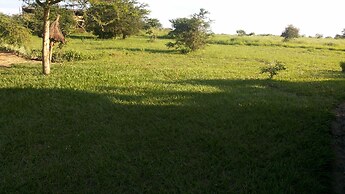 Twiga Tales Safari