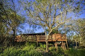 Shalati Kruger Lodge