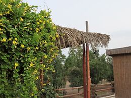 The Retreat