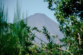 Antucalhue