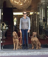 Hotel Bamberger Hof Bellevue