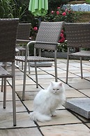 Hotel Garni Regina
