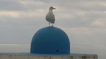 WOT Ericeira