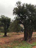 Ajloun Hotel