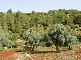 Ajloun Hotel