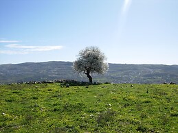 Ajloun Hotel