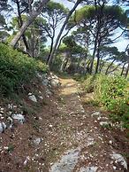 Villa Sea Dream
