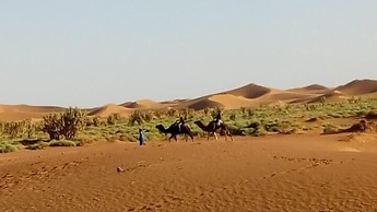 Nomad Life Style