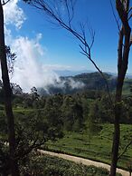 Rio Home stay