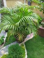 Rio Home stay