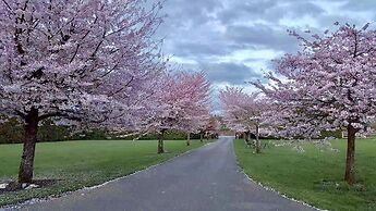 Cedar Manor Bed and Breakfast