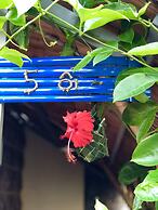 Nha Homestay