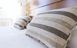 Hotel Villa Lovi