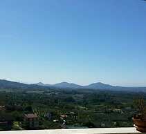 La Mora Exclusive a Moricone
