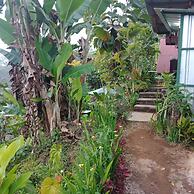 ECOcamp Bedugul