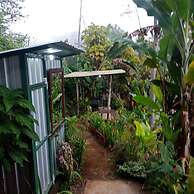 ECOcamp Bedugul