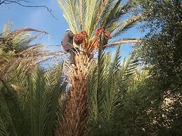 Gîte Kasbah La palmeraie