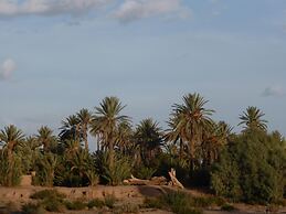Gîte Kasbah La palmeraie
