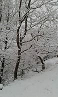 Kedros Chalet