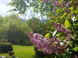 Briza de Munte
