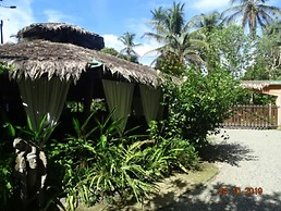Caribbean Coconut