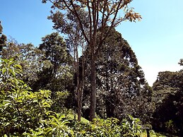 Casa Jade