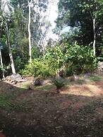 Nice House Natural