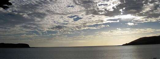 Hokianga Haven B&B