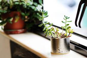 Hop Inn - Hostel