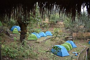 Camp David Kigwema