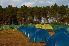 Camp David Kigwema