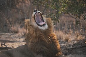 Africamps at Hoedspruit