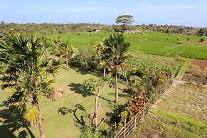 The Tetamian Bali