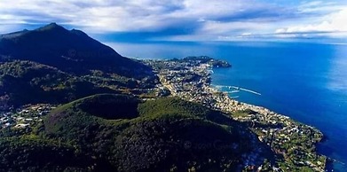 Hotel Monti