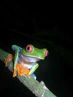 Cabinas Ecogarden Arenal