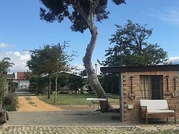 The Yard - Hostel