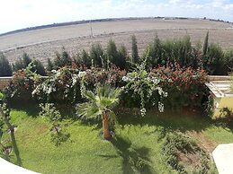 Riad Tanjil