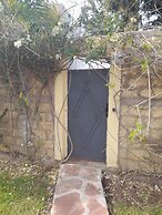 Riad Tanjil