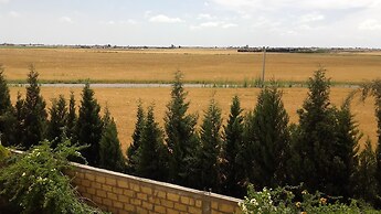 Riad Tanjil