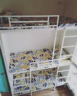 Bee-Force Backpackers - Hostel