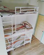 Bee-Force Backpackers - Hostel