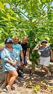 Beach Cottage