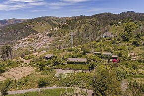 Quinta Devónia