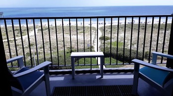 Surf Suites