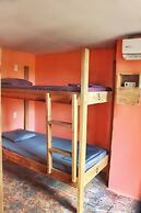 Twin Fin Hostels