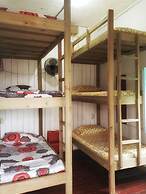 Twin Fin Hostels