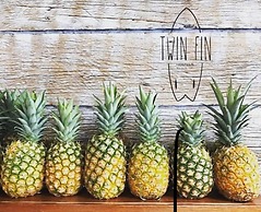 Twin Fin Hostels