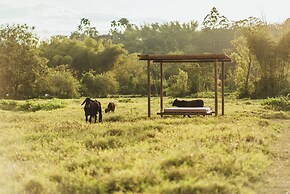Glamping Entre Rios