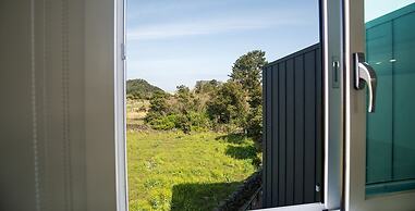 Jeju Damour